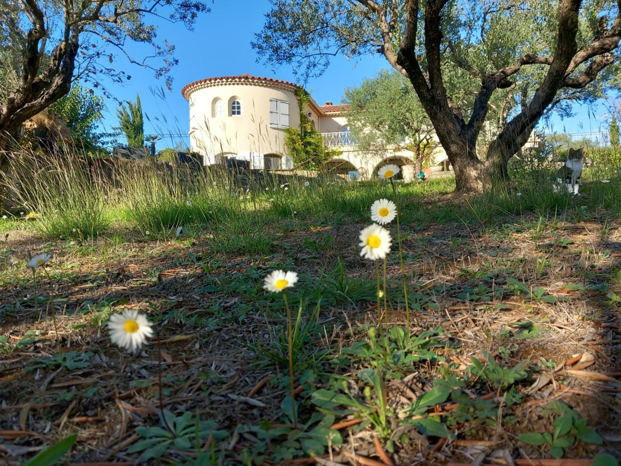 Hotel Le Relais Fleuri Alès Exteriér fotografie